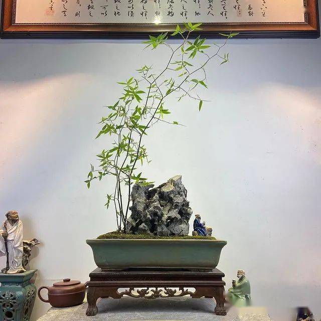 中式极品雅竹,超美超有意境!
