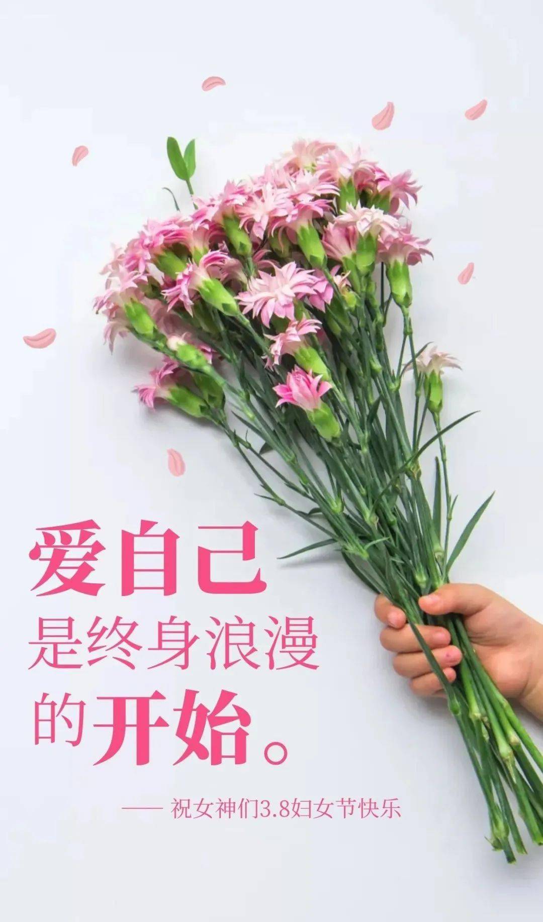 3月8日早安 | 女神节快乐