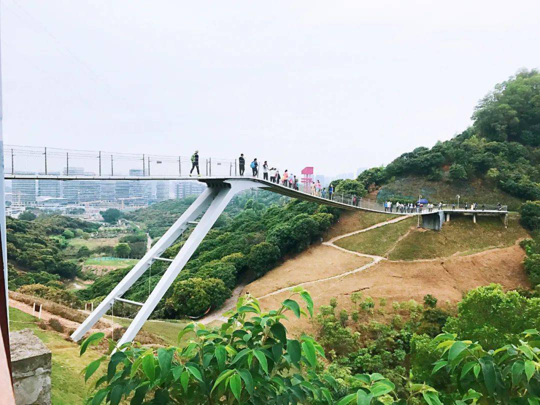 【打卡深圳红桥 网红三桥】2021年03月10日/13日/14日