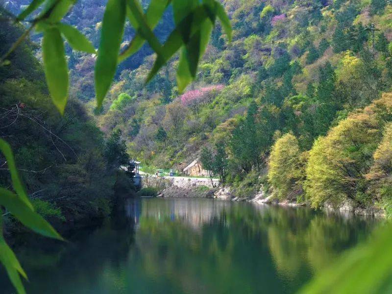 旅游灵宝亚武山风景名胜区欢迎您