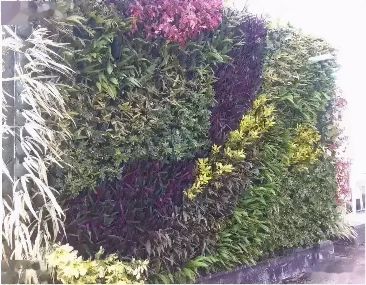 垂直绿化植物墙-一种垂直绿化墙制造技术