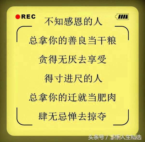 人,不能惯;情,不能盼