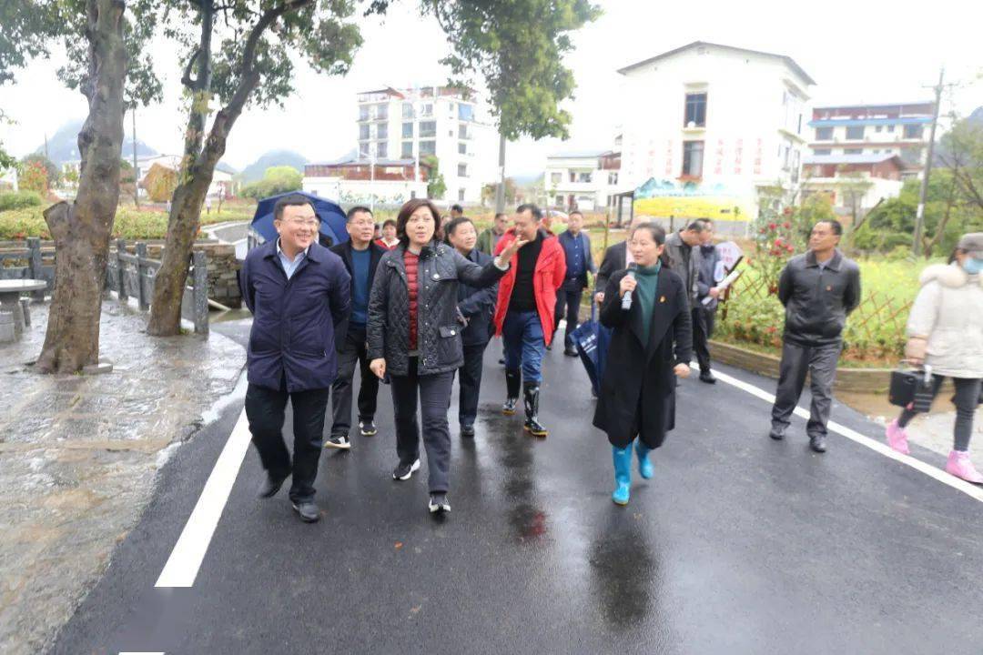 【乡村风貌提升】自治区住建厅党组书记唐标文到白沙镇调研指导乡村