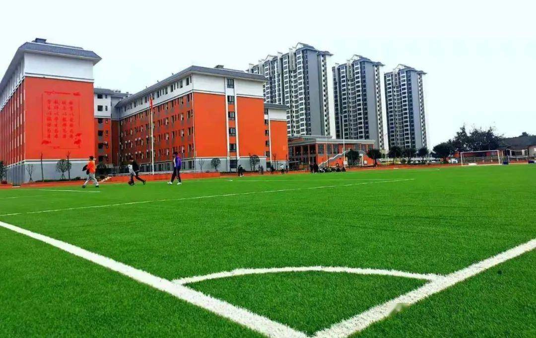 增设普通高中办学层次乐山这所学校更名了