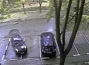 304_222gif 动态图 动图