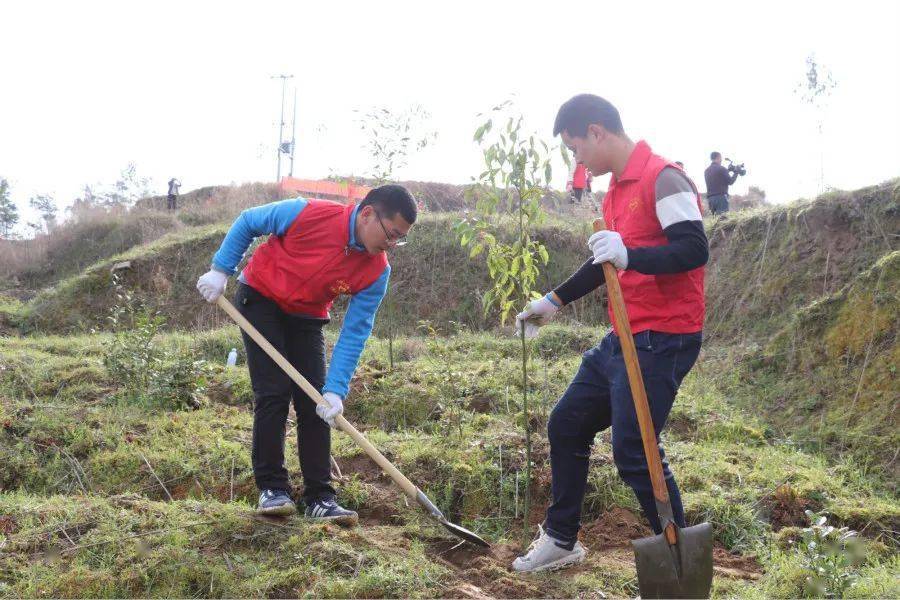 春光无限好 植树正当时 太湖"林小青"在行动!_活动