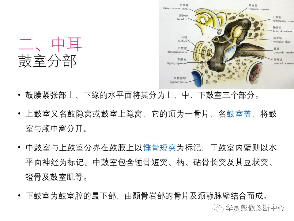 学习必备耳的影像解剖及常见疾病诊断