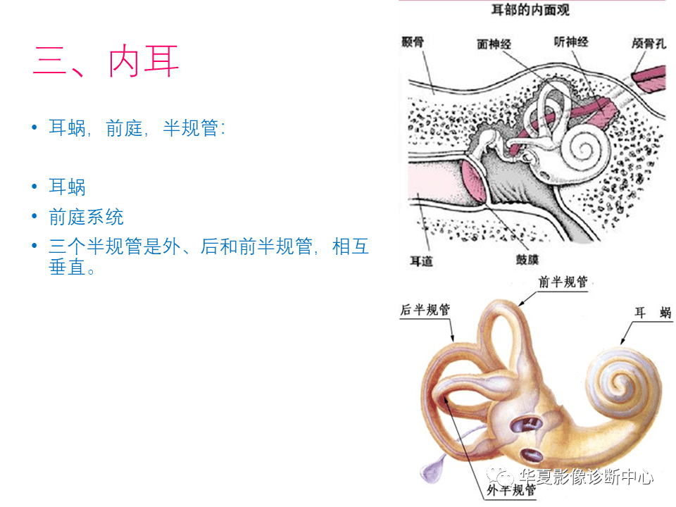 「学习必备」耳的影像解剖及常见疾病诊断