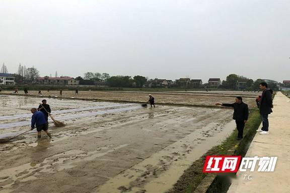 资阳区新桥河镇:早谋划早行动,田间地头春耕"闹"