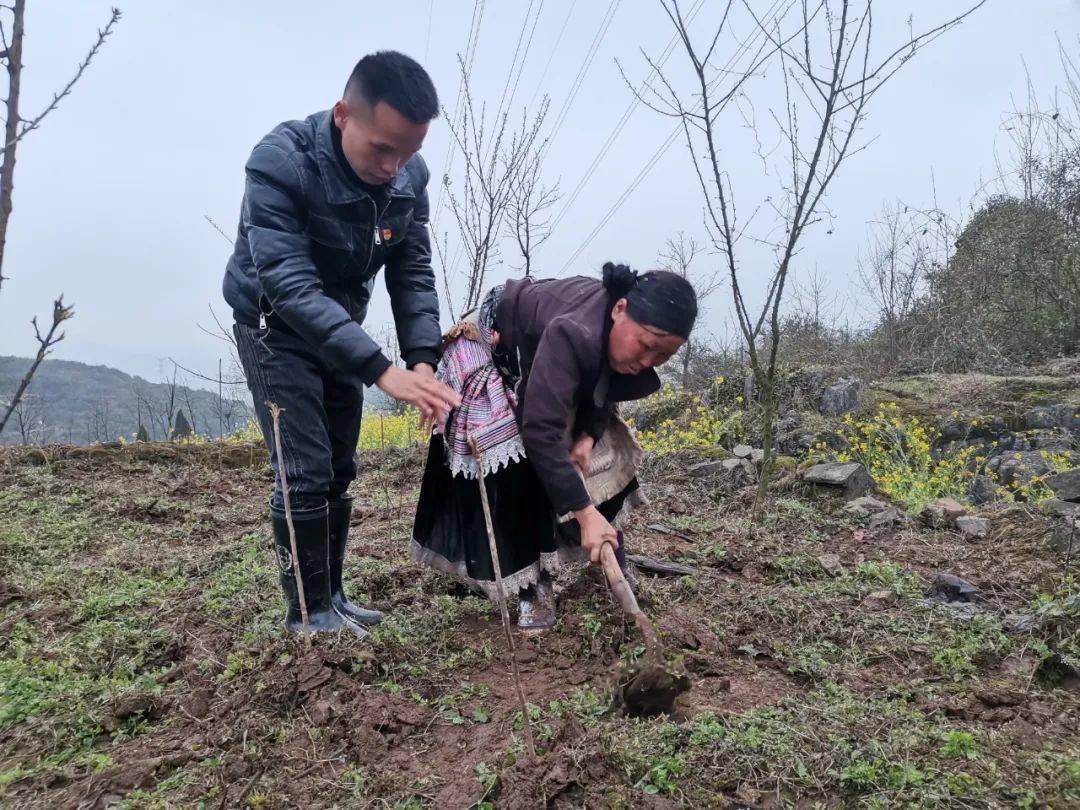 织金县自强乡:瞄准市场抓产业 自强不息谋振兴