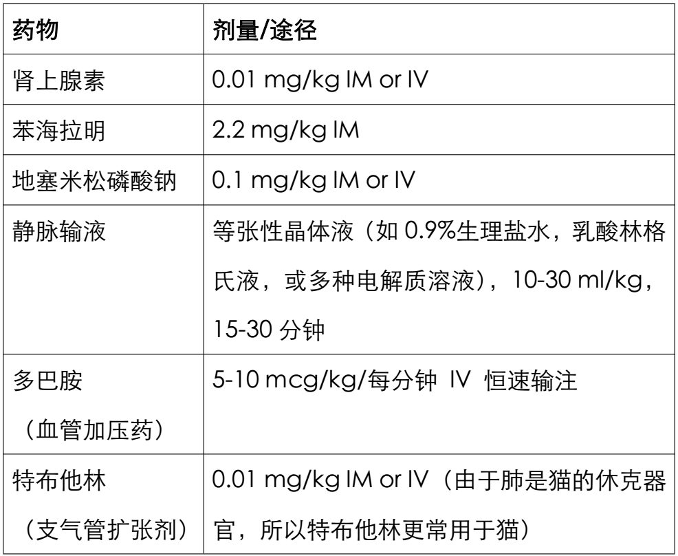 犬过敏反应有几种急诊病例如何用药点开快速了解