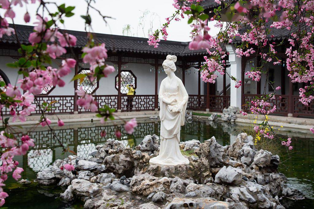 2021年3月17日,在南京莫愁湖公园,盛开的海棠花和莫愁女雕像构成一幅