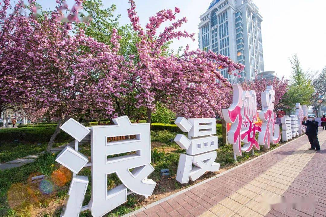 第七届中国(鹤壁)樱花文化节4月2日开幕!系列活动重磅发布