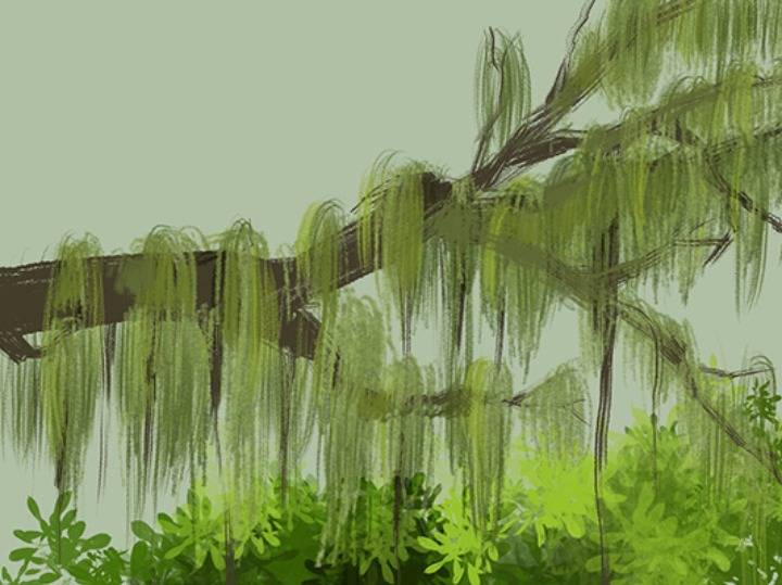 植物中的环境监测员—松萝_地衣
