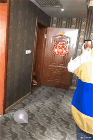 搞笑GIF:终于嫁人了,骚气还是要有的!