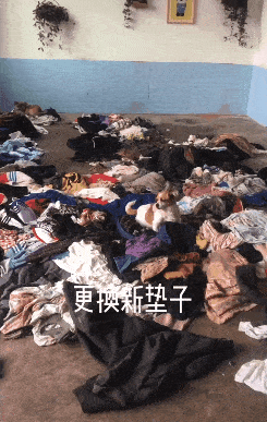 245_387 竖版 竖屏