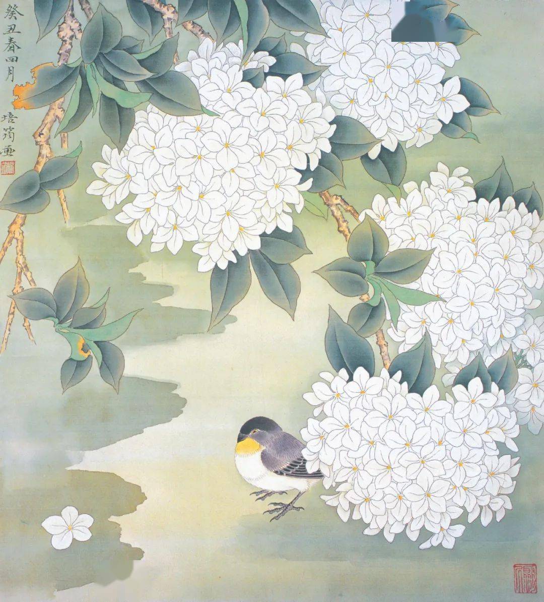 管锥使命章培筠如何用线来表现花卉
