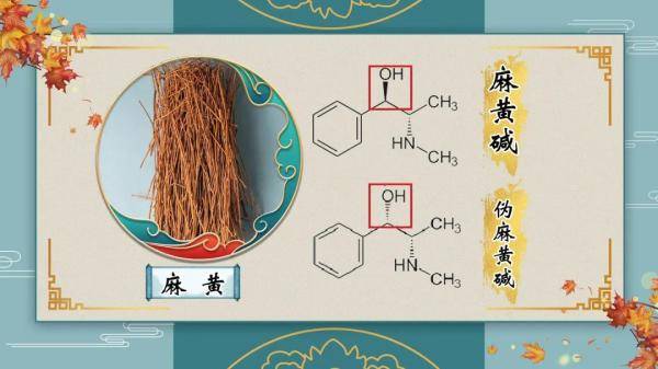 是毒药也是救命药这4种药材您用对了吗