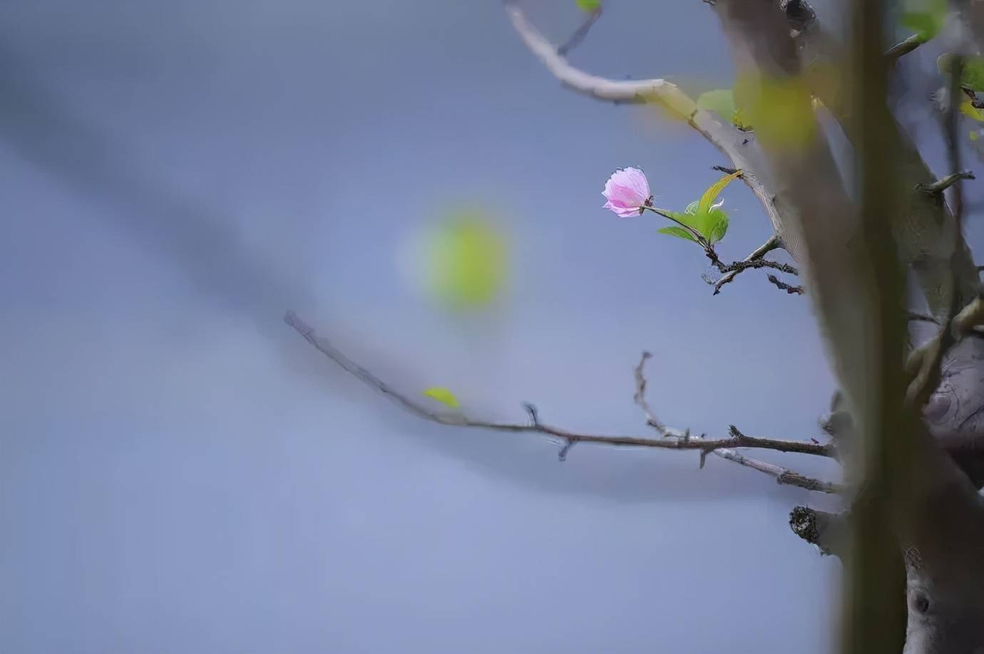 人心善变,勿愿,勿怨.