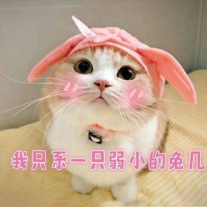 daae37d381f94a5881b7f2a1d25761e1.jpeg