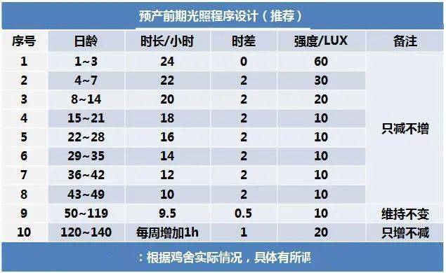 新思维养殖: 鸡群预产前期光照程序,这样来设计!