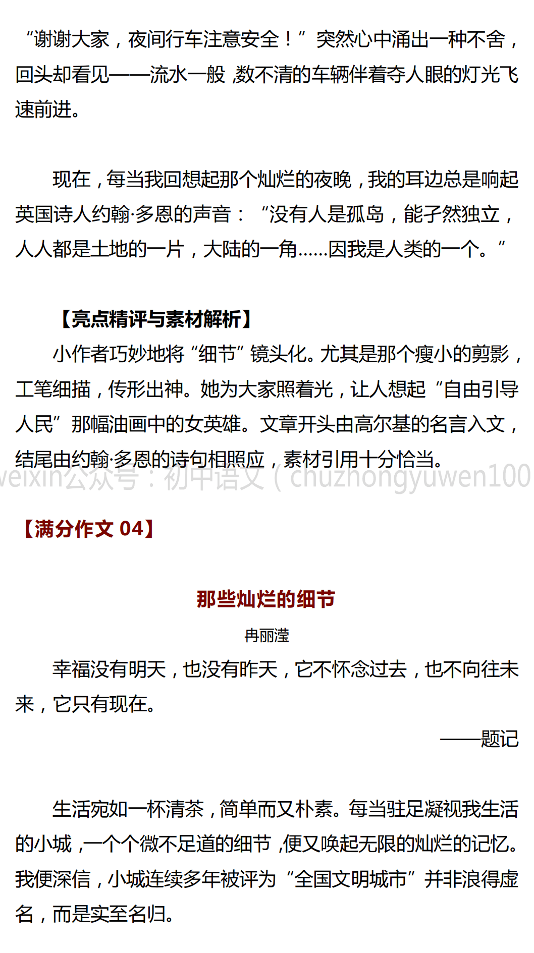 中考满分作文:那些灿烂的细节(解题思路 范文4篇)