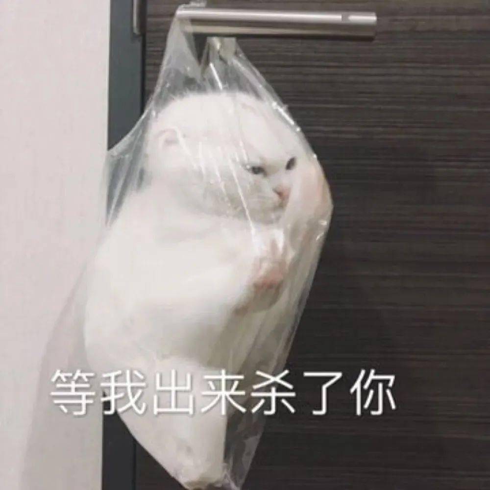 这50个沙雕又上头的表情包,拿去用!