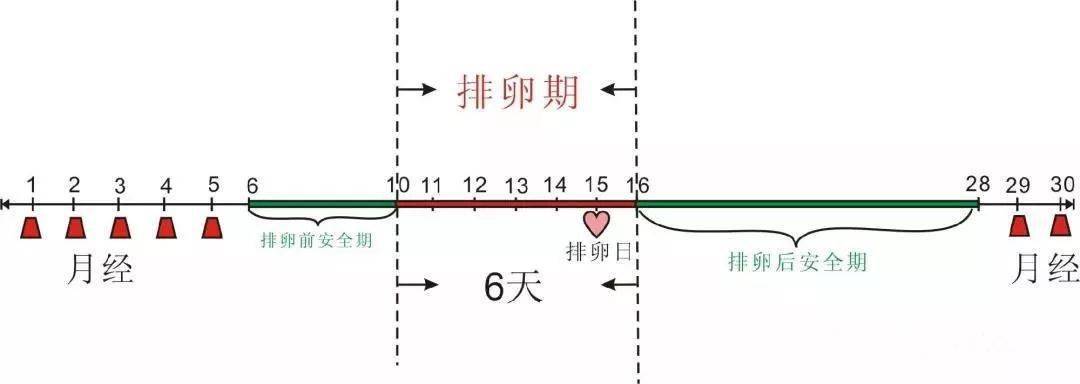 所以, 一般来说,女性排卵期有10天.