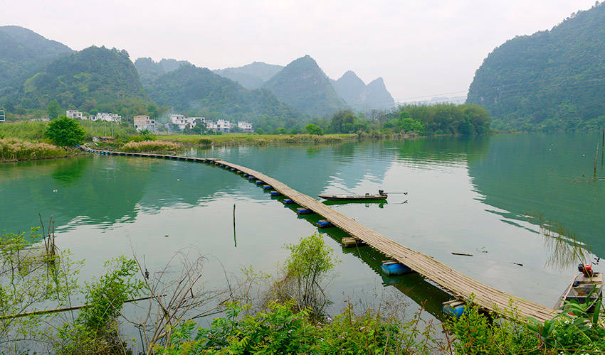 广西巴马:盘阳河畔好春光