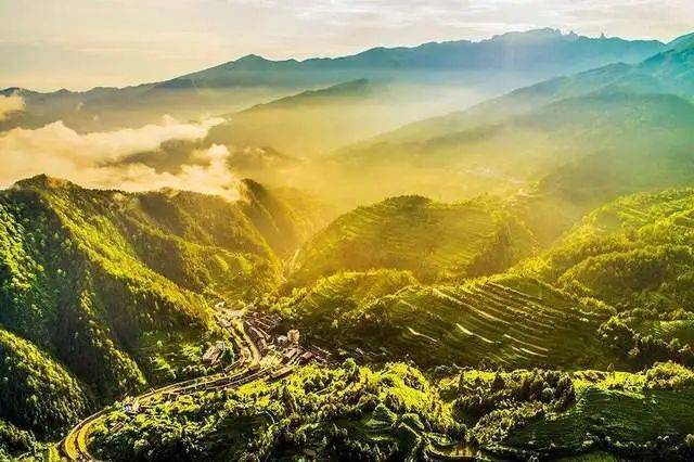 登名山品好茶泡温泉在贵州开启一段寻茶踏春之旅