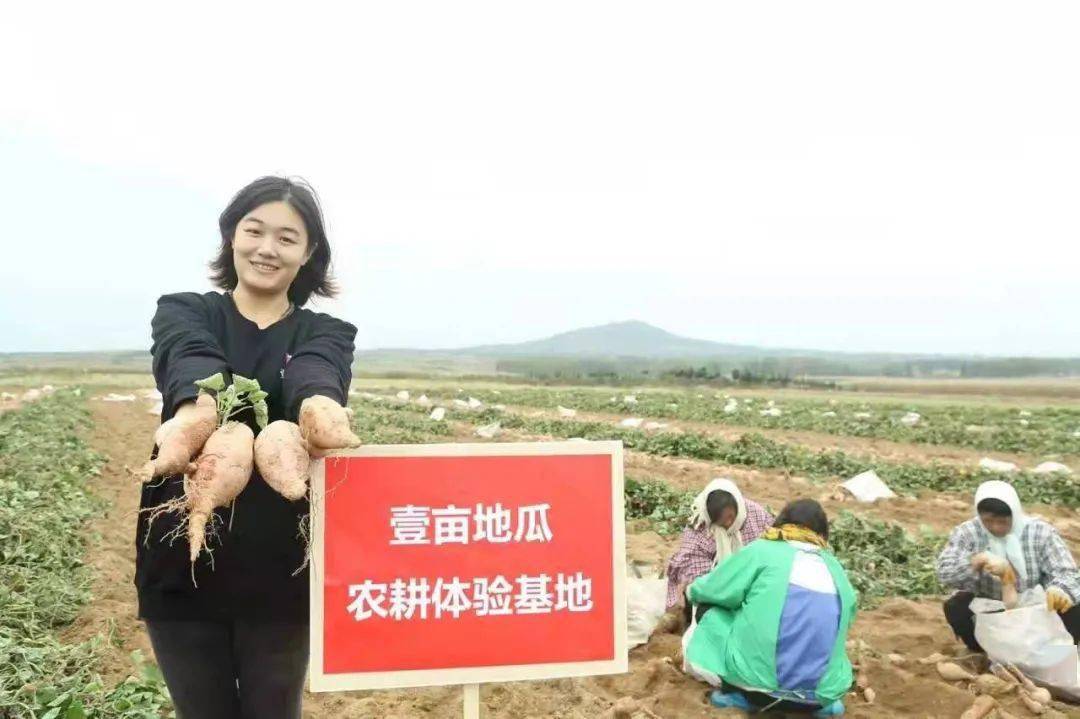 谁将走进来?_刘朝丽