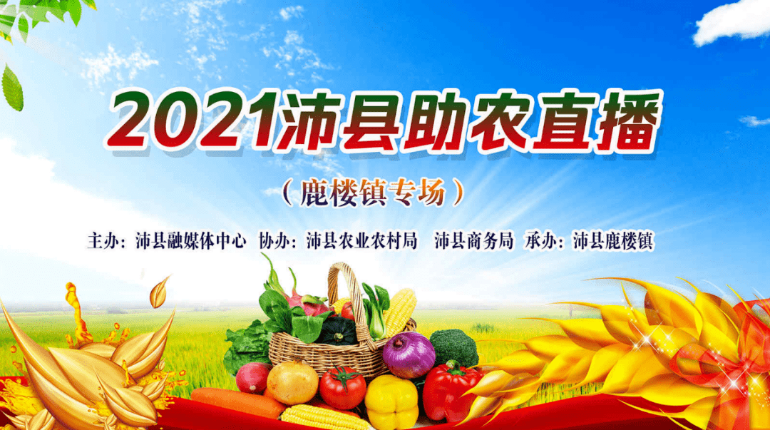 沛县电商网站推广前景 来自搜狐网