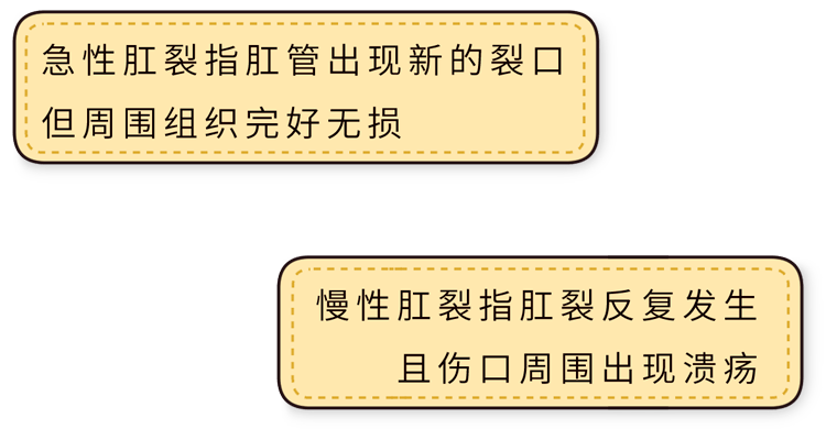 肛裂可分为急性和慢性肛裂的原因就开始为下半生下半身烦恼?