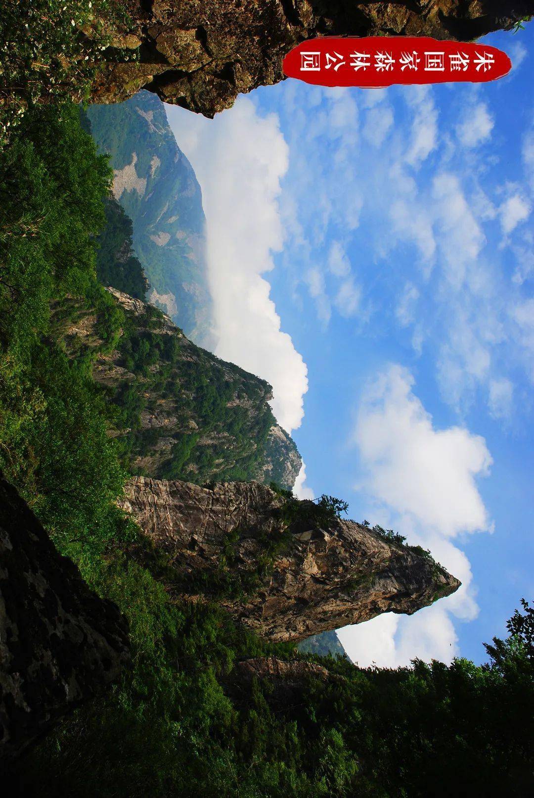 山水人物 "藏"在秦岭的云中 雨后踏青  到朱雀国家森林公园走一走