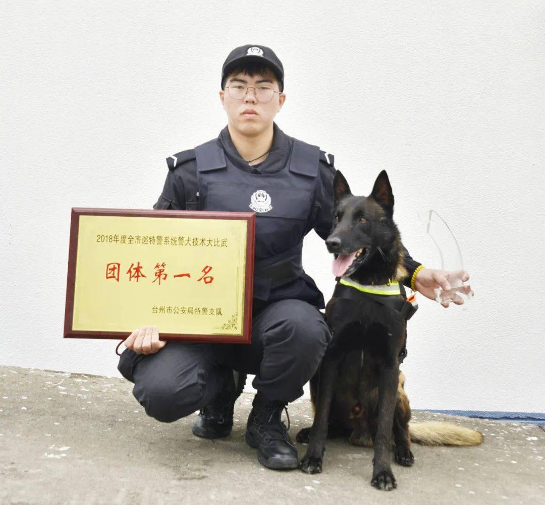 警犬:从"天天"成长为"哮天"