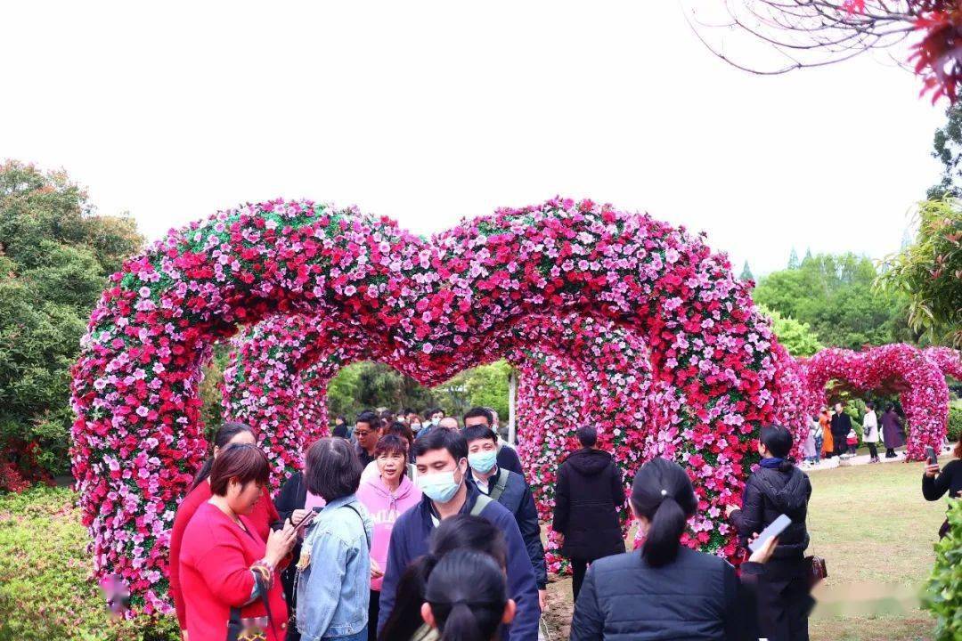 2021第十二届井冈山杜鹃花节开幕啦