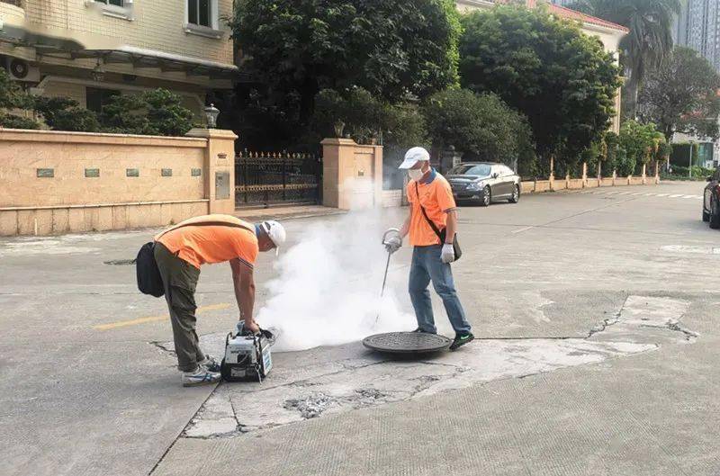 今年蚊虫特别多市爱卫办教给你灭蚊神招