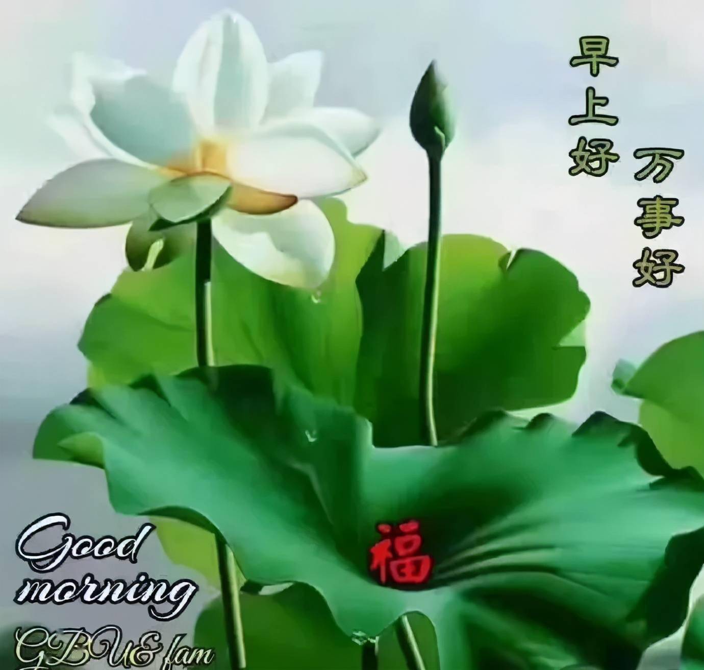 怀着感恩的心,念着感恩的情,说着感恩的话,早安