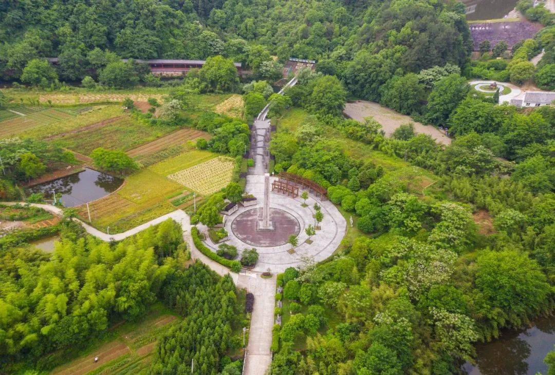 常山有枚金钉子它是地球年轮记录4亿年前沧海桑田草地说人解史