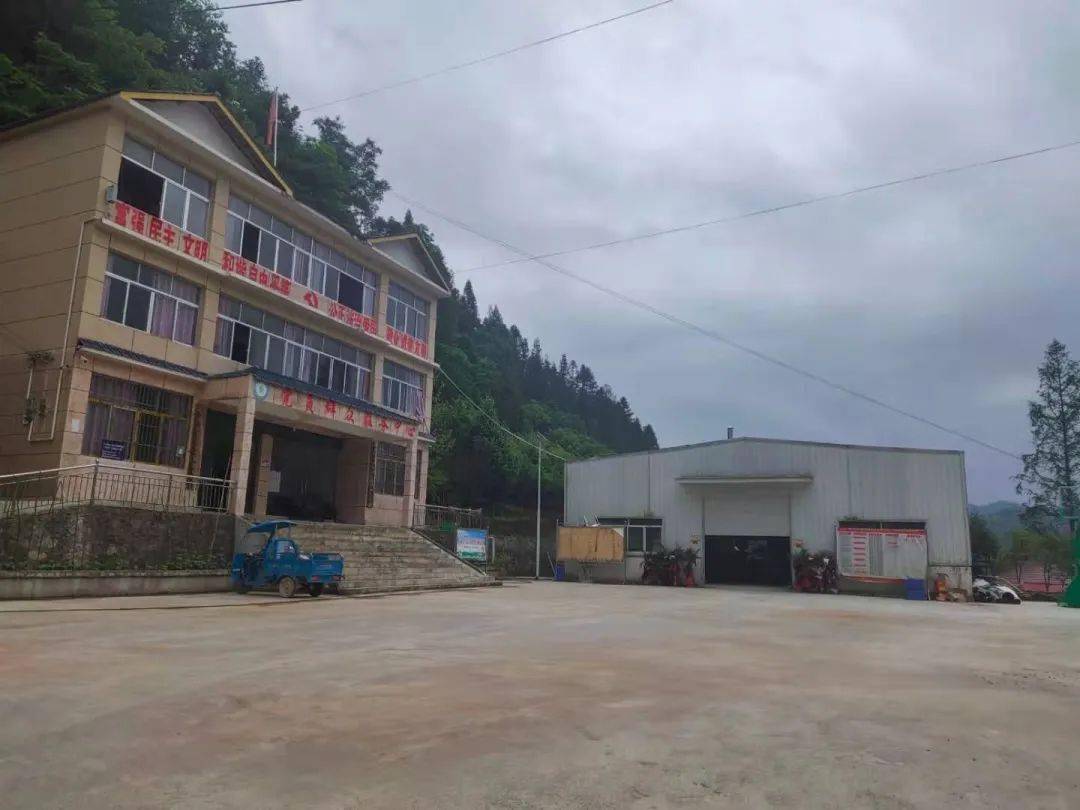 利川90后大学生回乡收废品,他如今怎么样了?