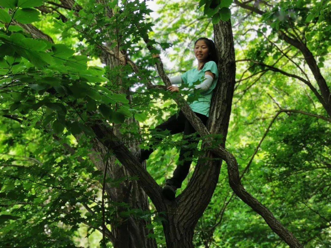 藤蔓弯弯绕绕天然形成了最适合孩子爬树的天性,一下子跐溜上树,稳稳地