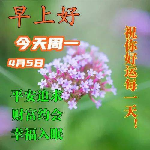 最新漂亮的周一早上好表情,无论风和雨,真情永不变,朋友早安!