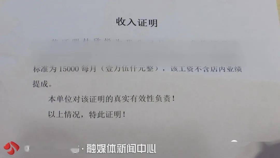 提供虚假收入证明法律责任 来自搜狐网