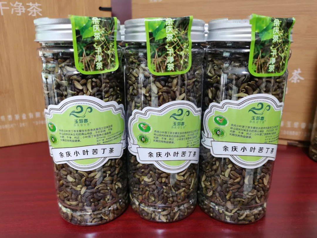 余庆苦丁茶茶籽,你喝过吗?_小叶