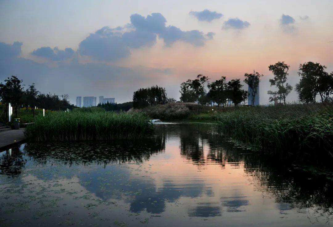 上海世博后滩湿地公园