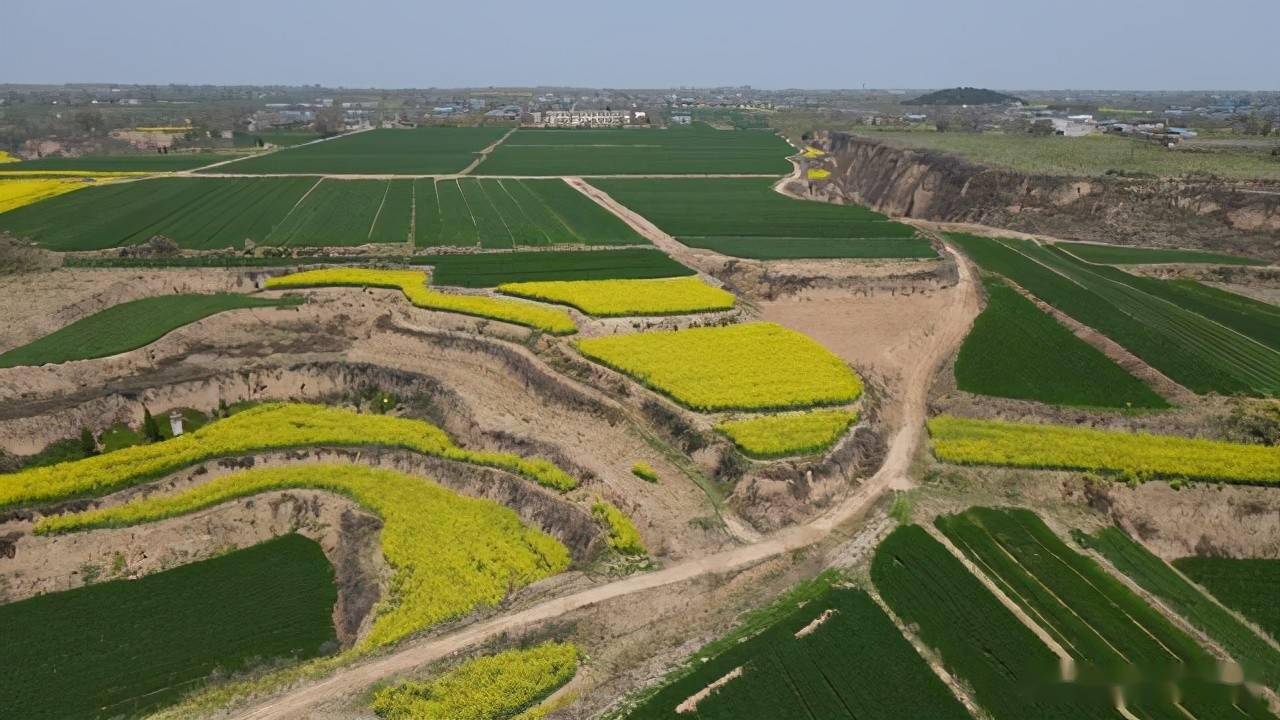 除了白鹿原之外,西安还有7个原,其中少陵原风景最美_台塬