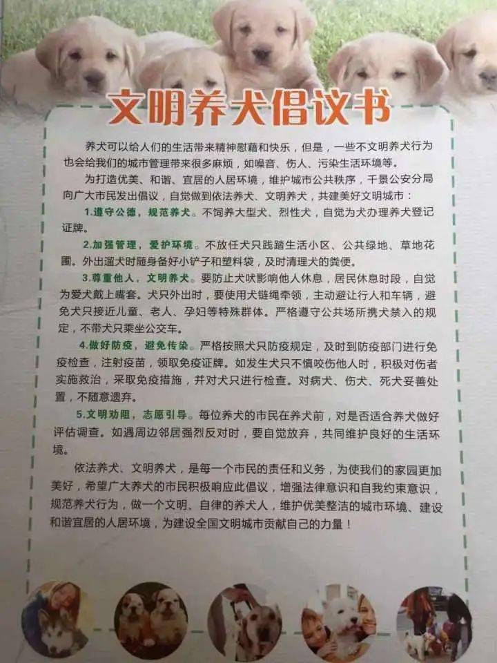 文明城市创建常态化印制1000份倡议书号召市民文明养犬