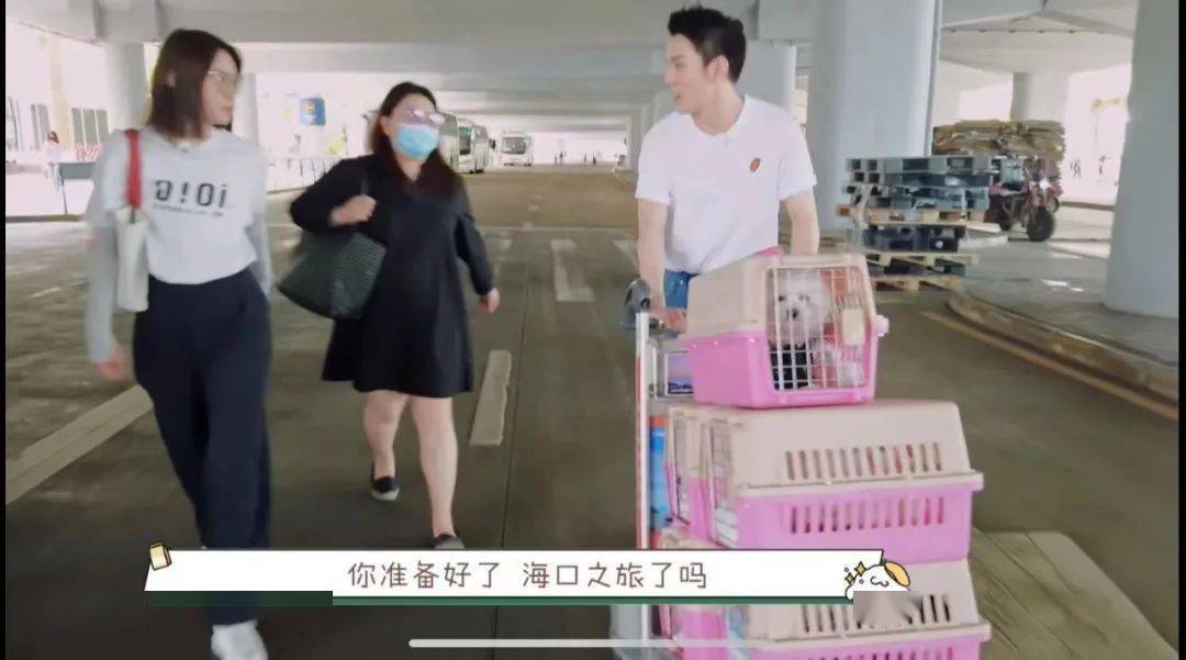 "奈娃家族"又来了,我居然沉迷一部狗狗的团综_李佳琦