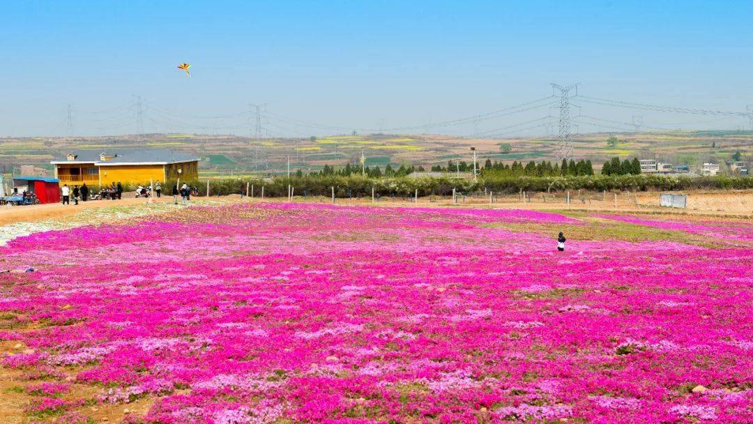 汝州春日最浪漫打卡地!市区最美"后花园!约吗?