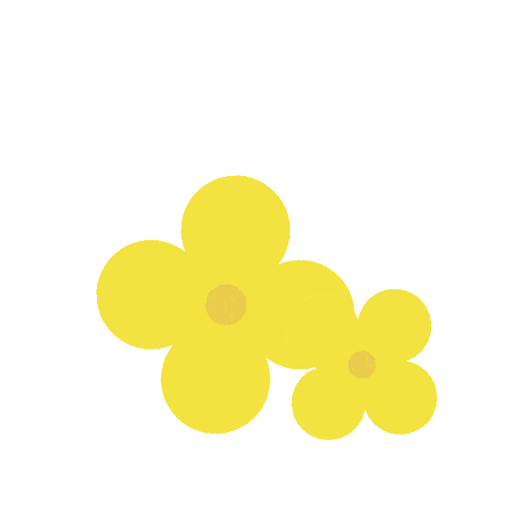 燃福利满满的约战普陀定向赛活力开赛啦